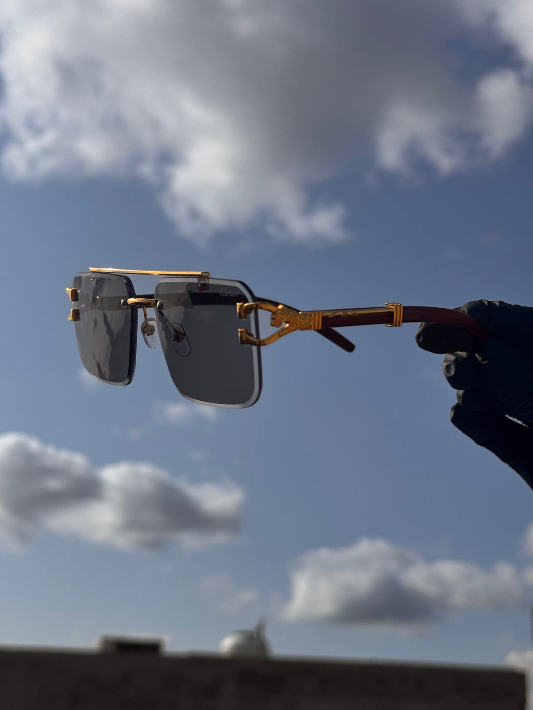 Solar Cheetah Glasses (Allow To Open)